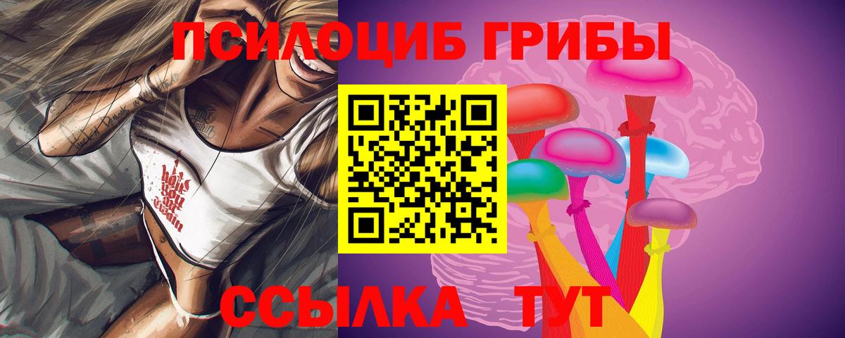 Псилоцибиновые грибы прущие грибы  Вход с VPN  Щёлково 